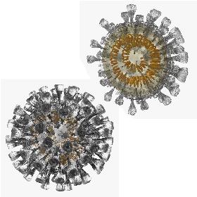 Novel Coronavirus Collection 3D